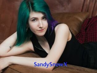 SandySnowX