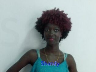 Shandy