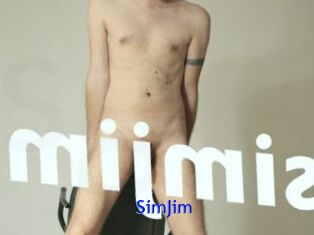 SimJim