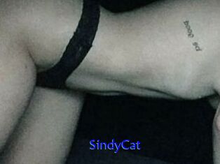 SindyCat