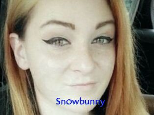 Sn0wbunny