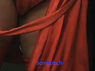 Somebitch