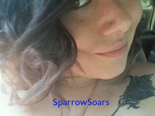 SparrowSoars