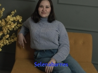 Selenabarnes