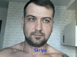 Skripa