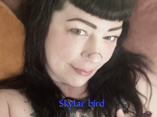 Skylar_bird