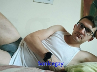 Sonicegay