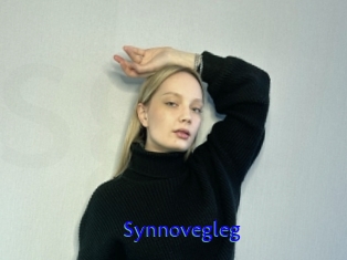 Synnovegleg