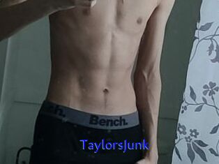 TaylorsJunk