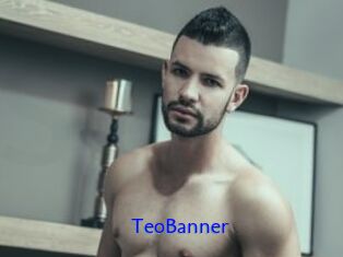 TeoBanner