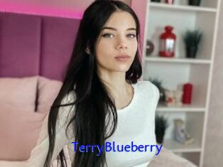 TerryBlueberry