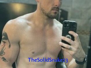 TheSolidSnake23