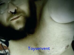 Toyservent