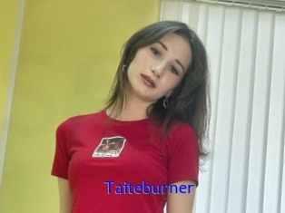 Taiteburner