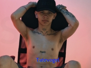 Tatevogel