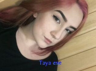 Taya_exe