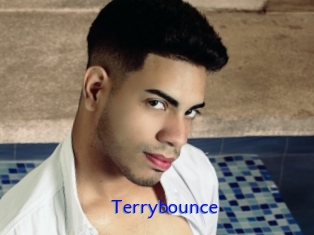 Terrybounce