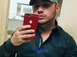 Tiger93