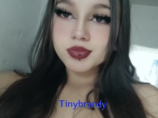 Tinybrandy