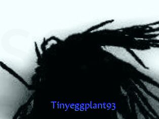 Tinyeggplant93