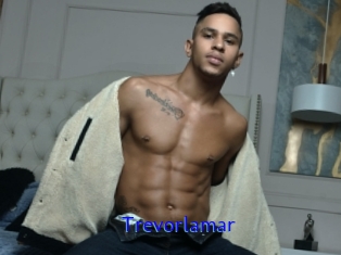 Trevorlamar