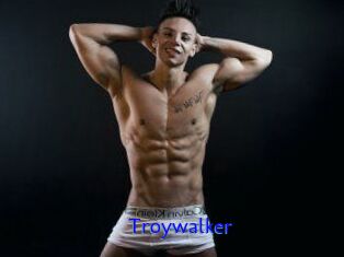 Troywalker