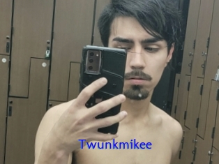 Twunkmikee