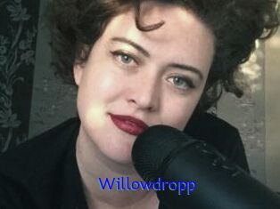 Willowdropp