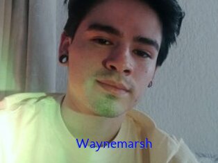 Waynemarsh