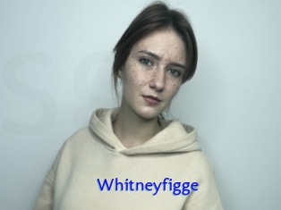 Whitneyfigge