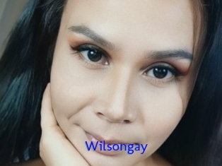 Wilsongay