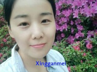 Xingganmei