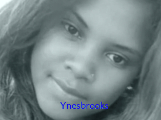 Ynesbrooks