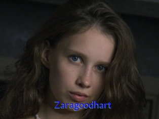 Zaragoodhart